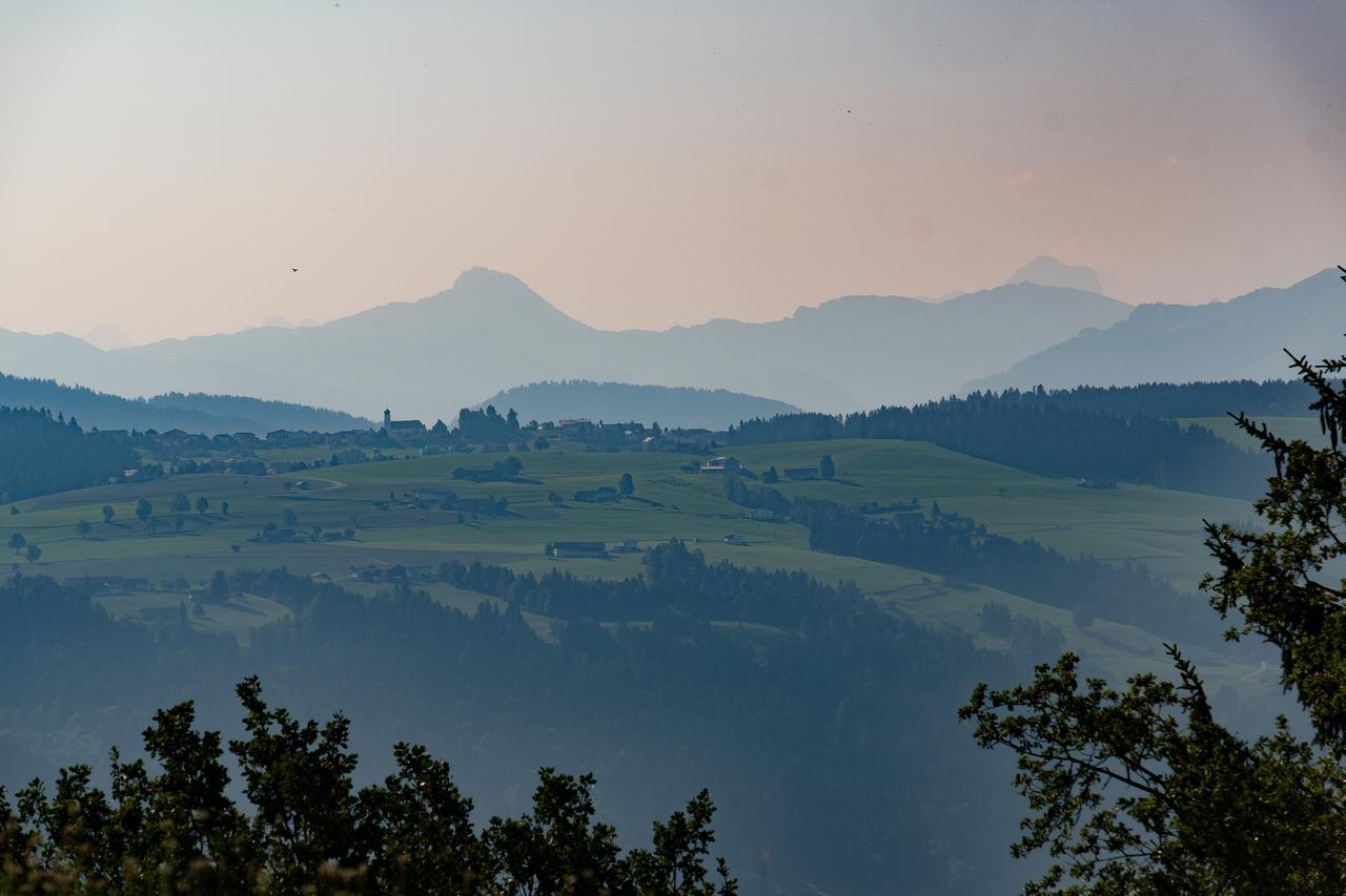 Hotel Edita Scheidegg Bagian luar foto